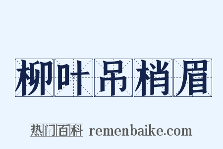 柳叶吊梢眉是什么意思的图片